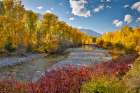 USA, Washington State. Autumn colors along the Methow River near Winthrop Art Print